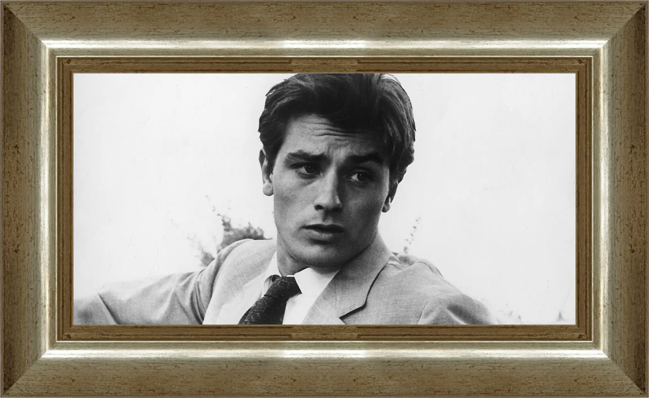 Картина в раме - Ален Делон. Alain Delon