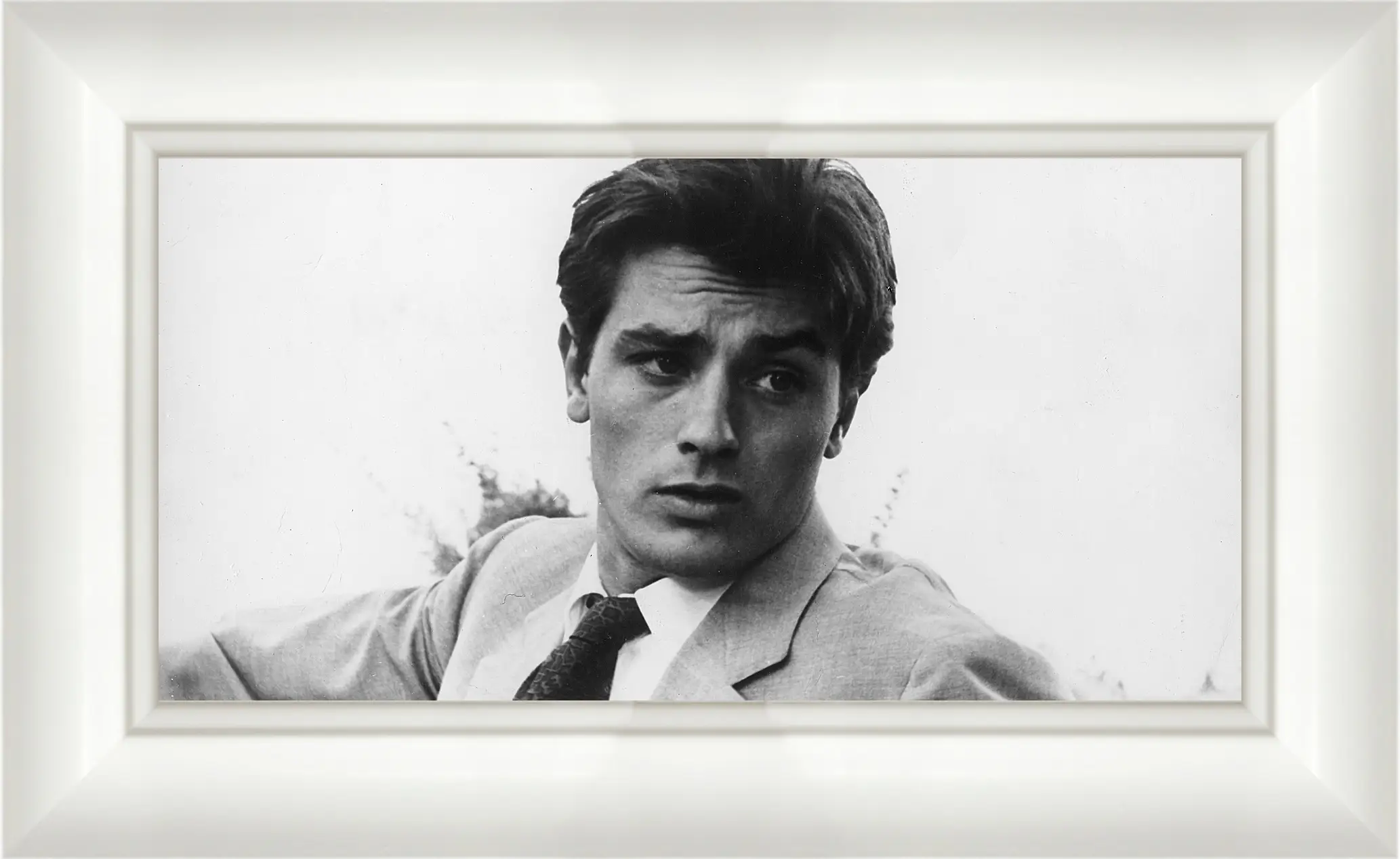 Картина в раме - Ален Делон. Alain Delon