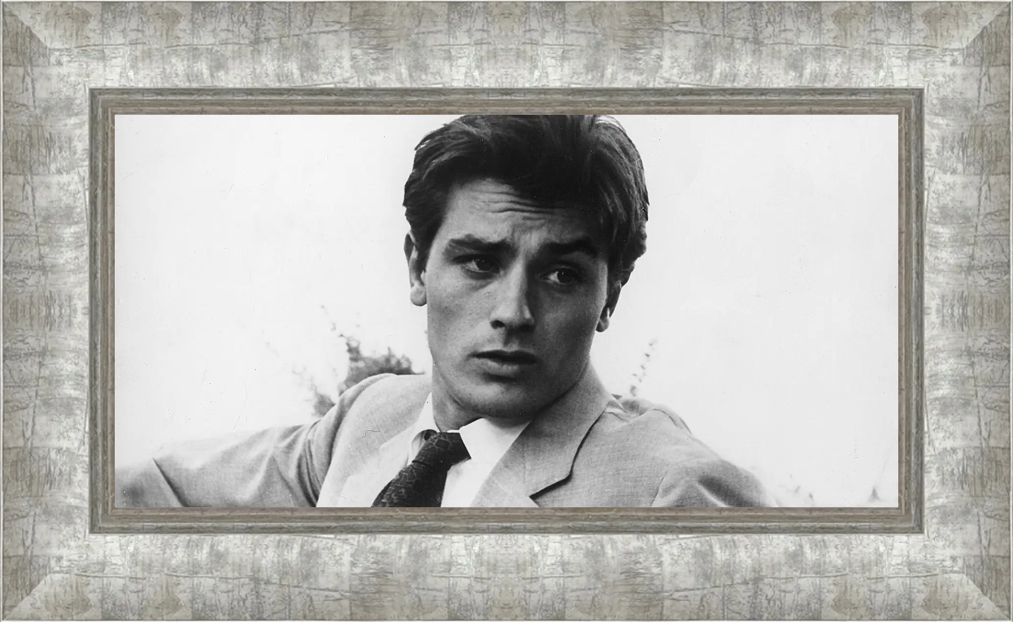 Картина в раме - Ален Делон. Alain Delon