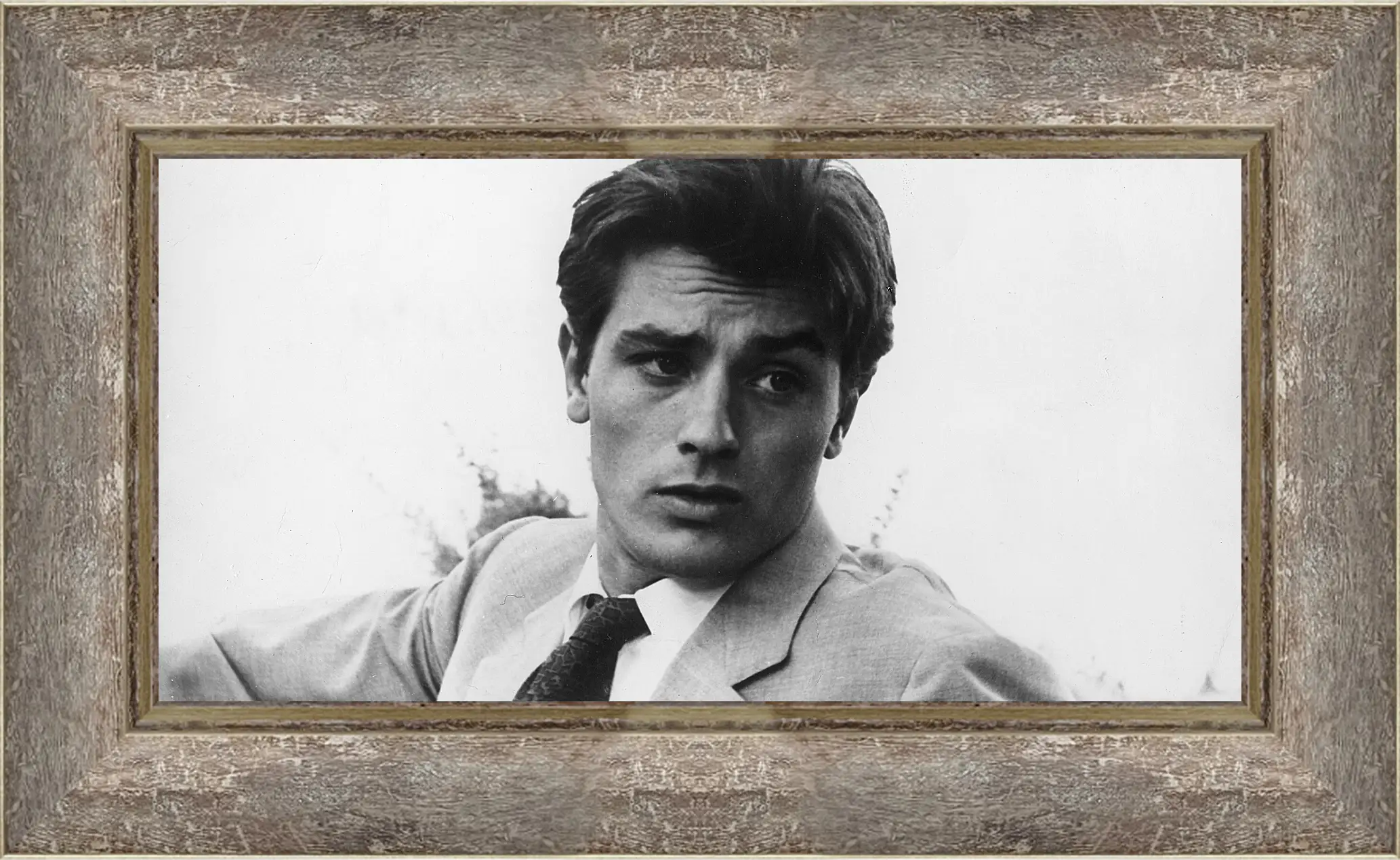 Картина в раме - Ален Делон. Alain Delon