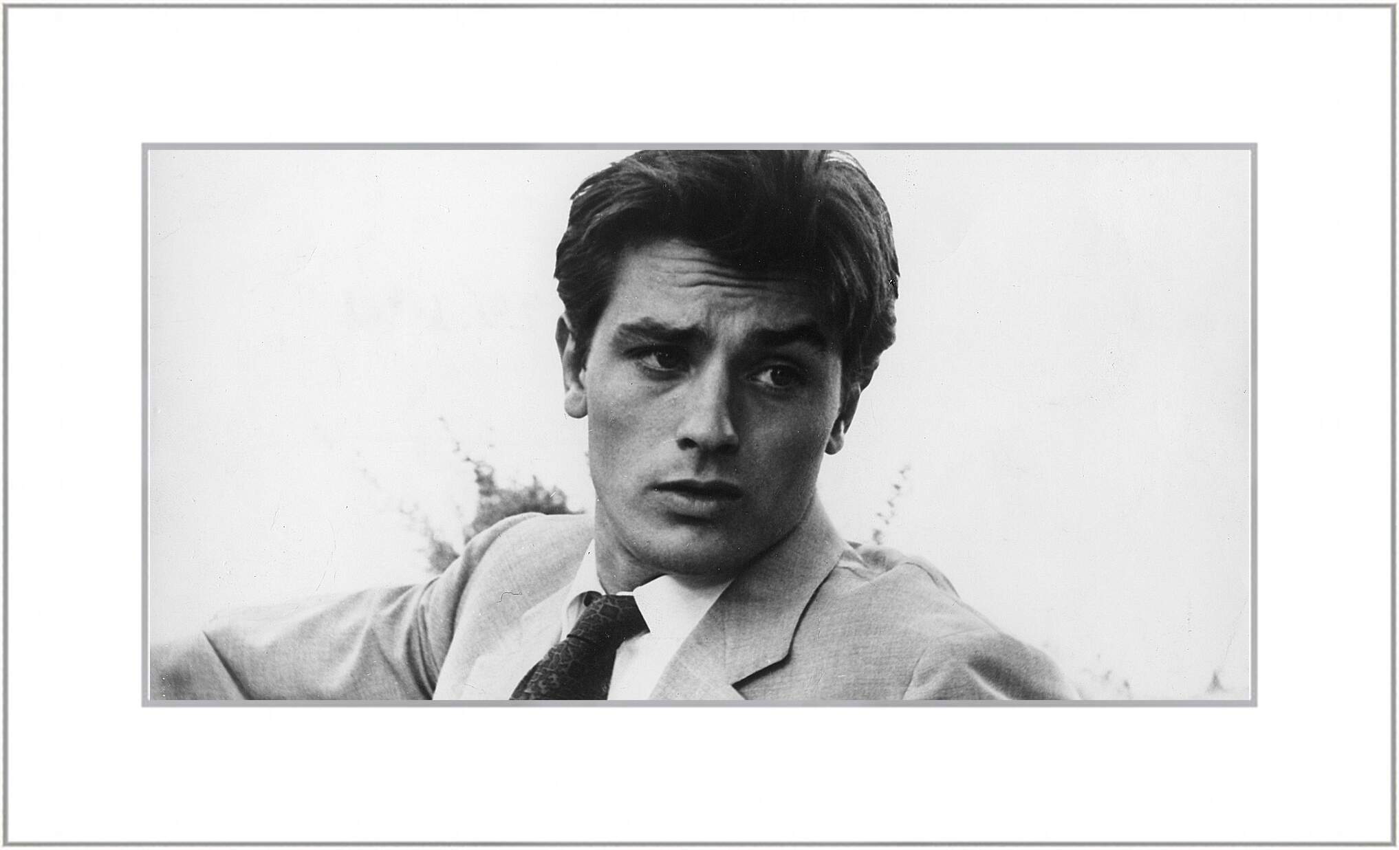 Картина в раме - Ален Делон. Alain Delon