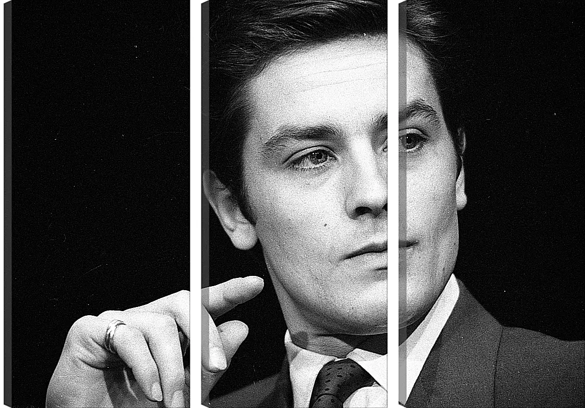 Модульная картина - Ален Делон. Alain Delon