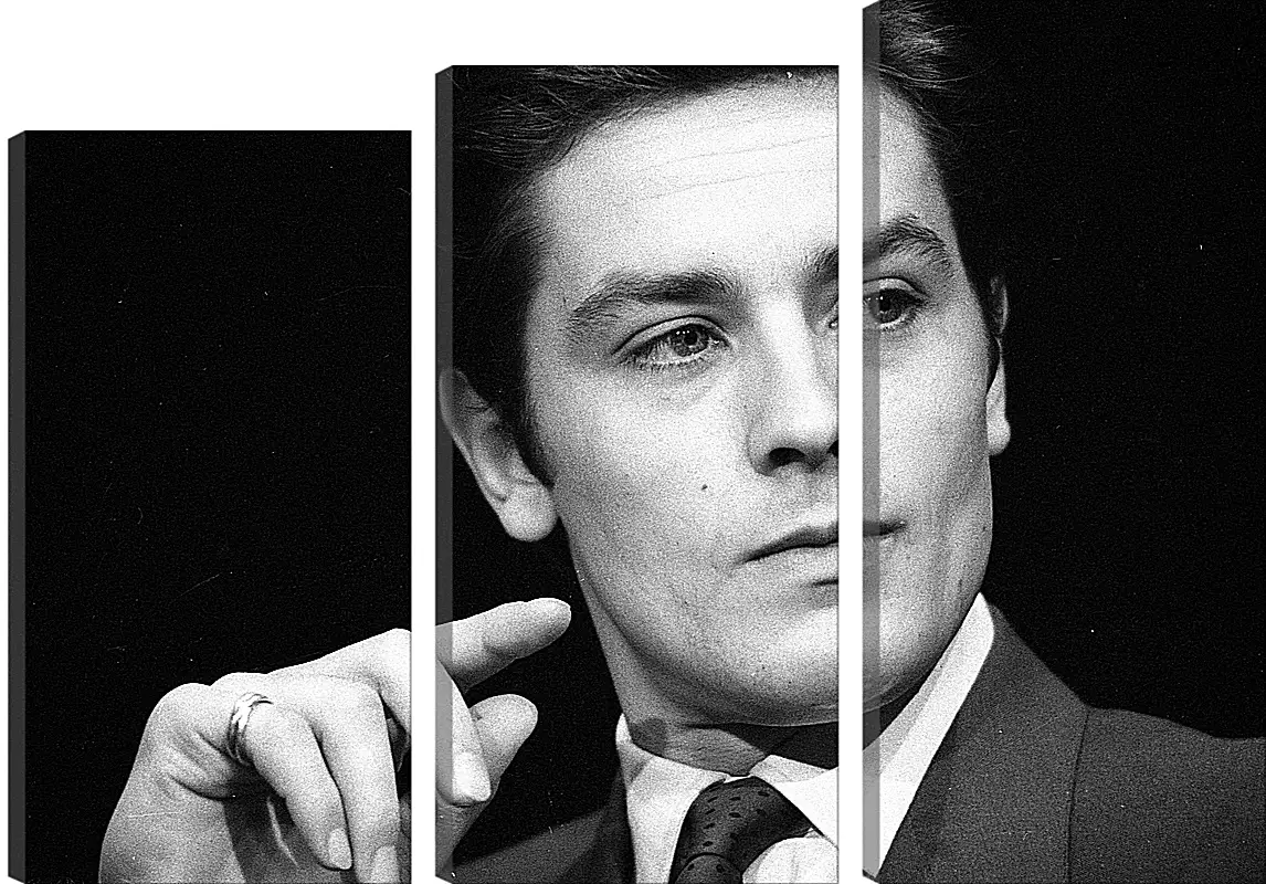 Модульная картина - Ален Делон. Alain Delon