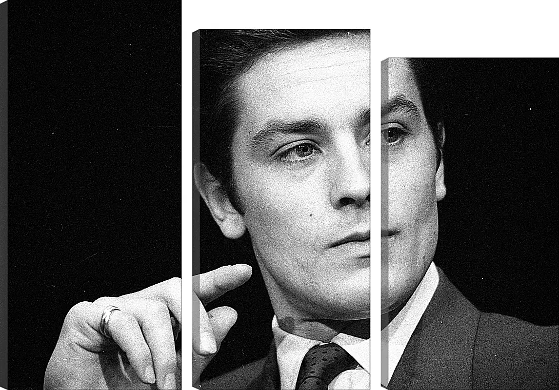 Модульная картина - Ален Делон. Alain Delon