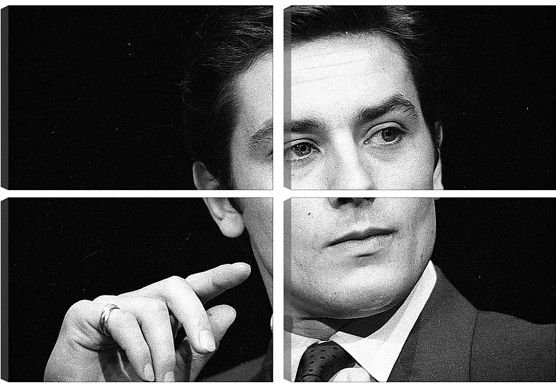 Модульная картина - Ален Делон. Alain Delon