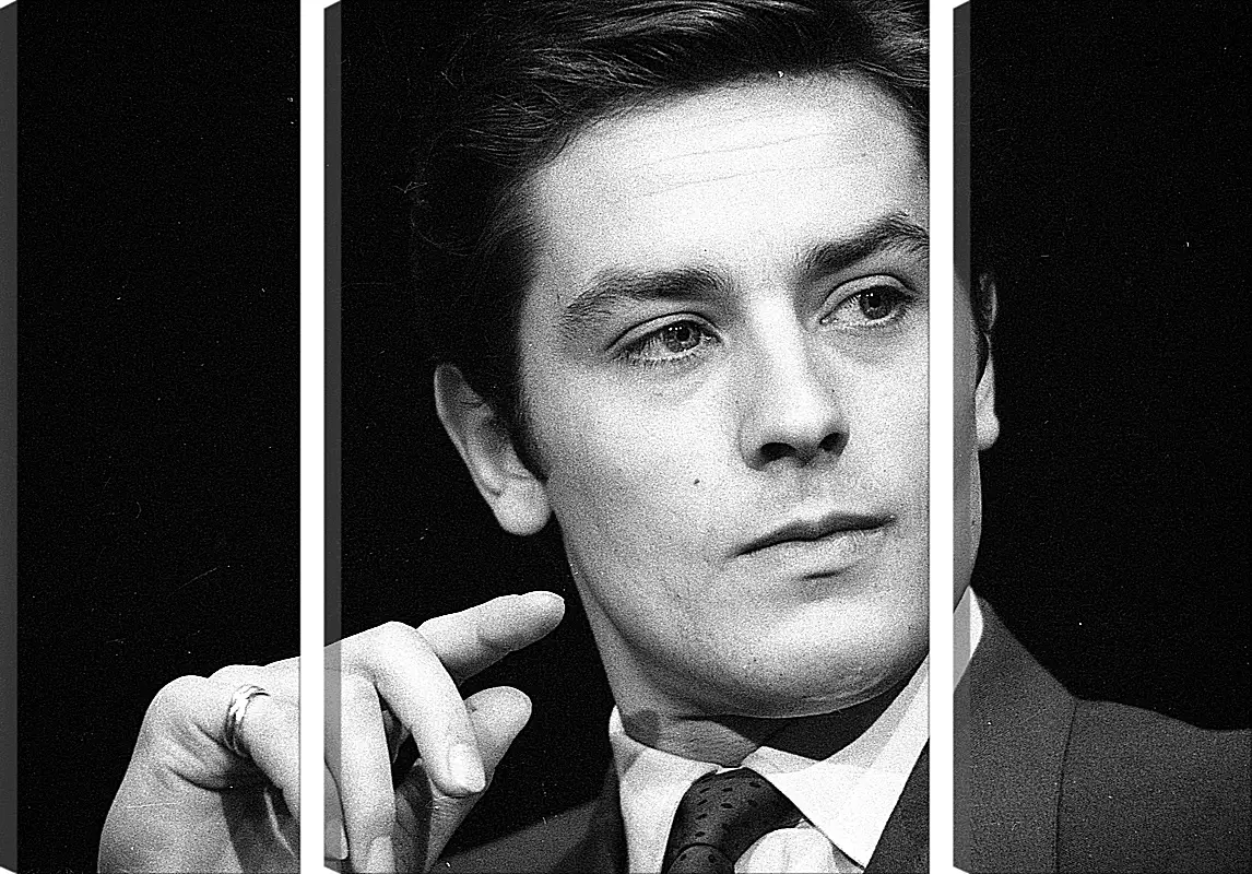 Модульная картина - Ален Делон. Alain Delon