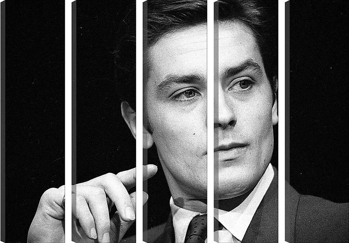 Модульная картина - Ален Делон. Alain Delon