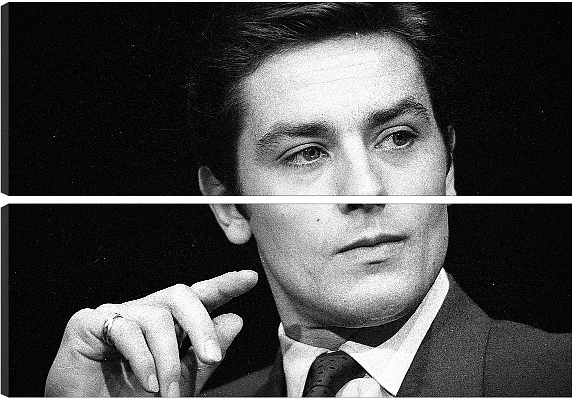 Модульная картина - Ален Делон. Alain Delon