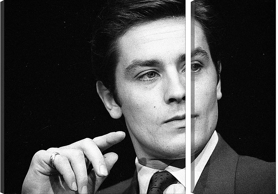 Модульная картина - Ален Делон. Alain Delon