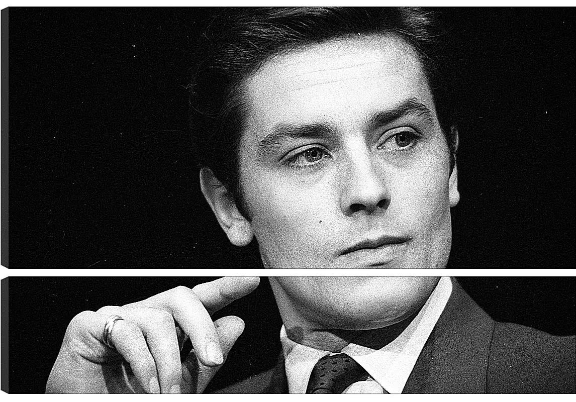 Модульная картина - Ален Делон. Alain Delon