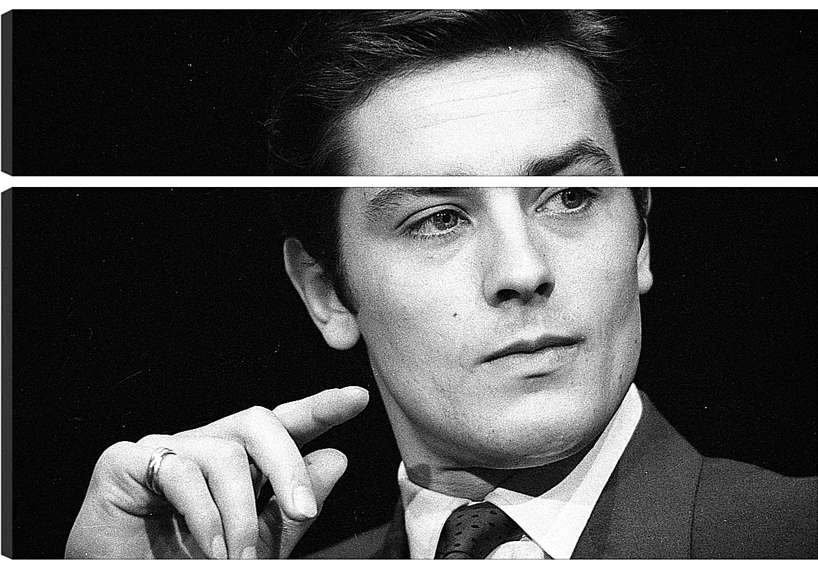 Модульная картина - Ален Делон. Alain Delon