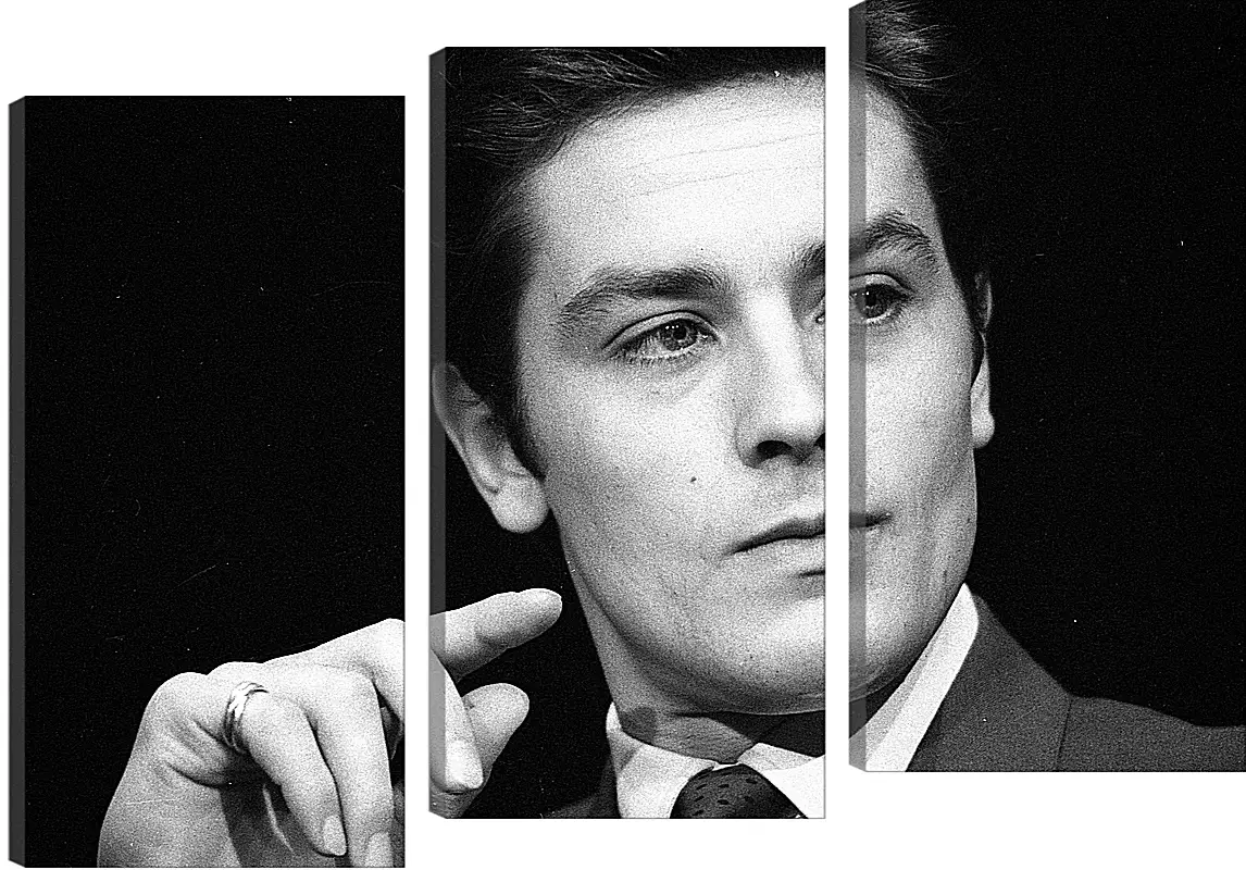 Модульная картина - Ален Делон. Alain Delon