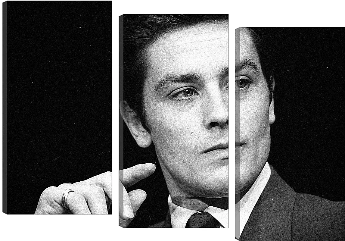 Модульная картина - Ален Делон. Alain Delon