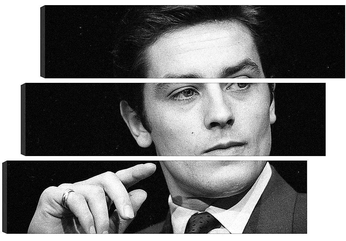 Модульная картина - Ален Делон. Alain Delon