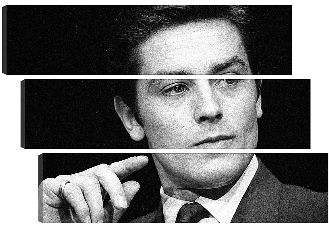 Модульная картина - Ален Делон. Alain Delon