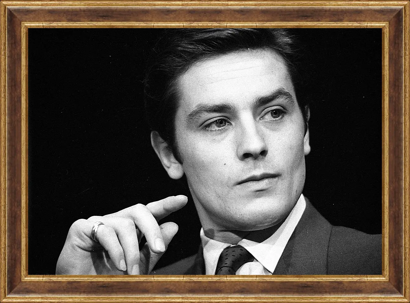 Картина в раме - Ален Делон. Alain Delon