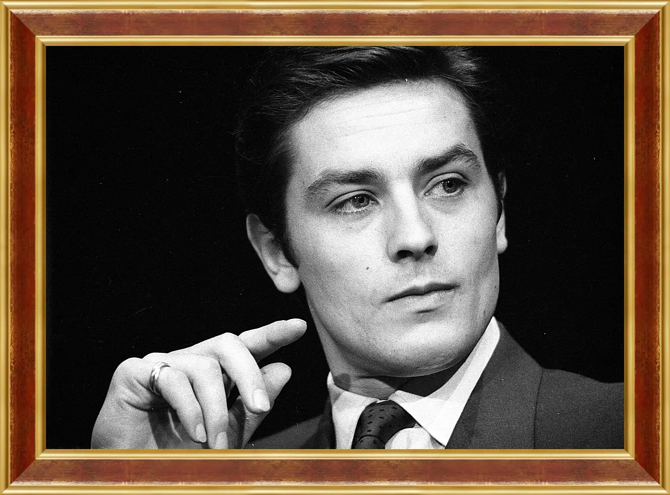 Картина в раме - Ален Делон. Alain Delon