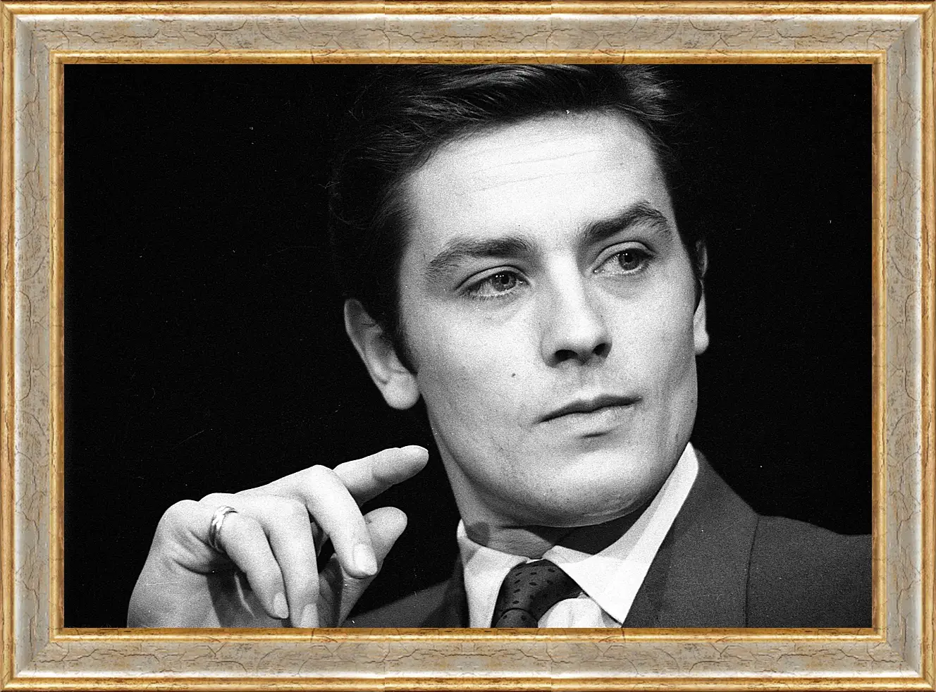 Картина в раме - Ален Делон. Alain Delon