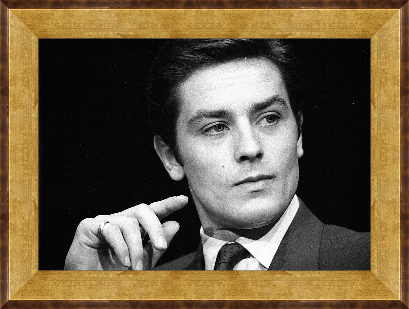 Картина в раме - Ален Делон. Alain Delon