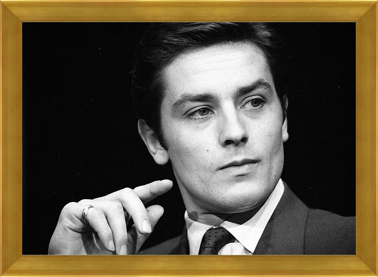 Картина в раме - Ален Делон. Alain Delon