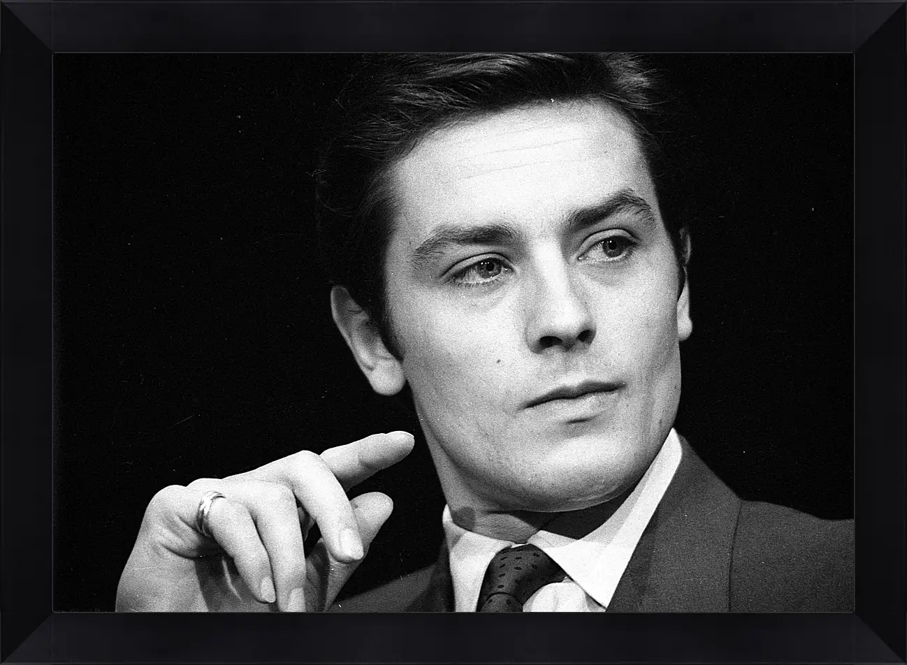 Картина в раме - Ален Делон. Alain Delon