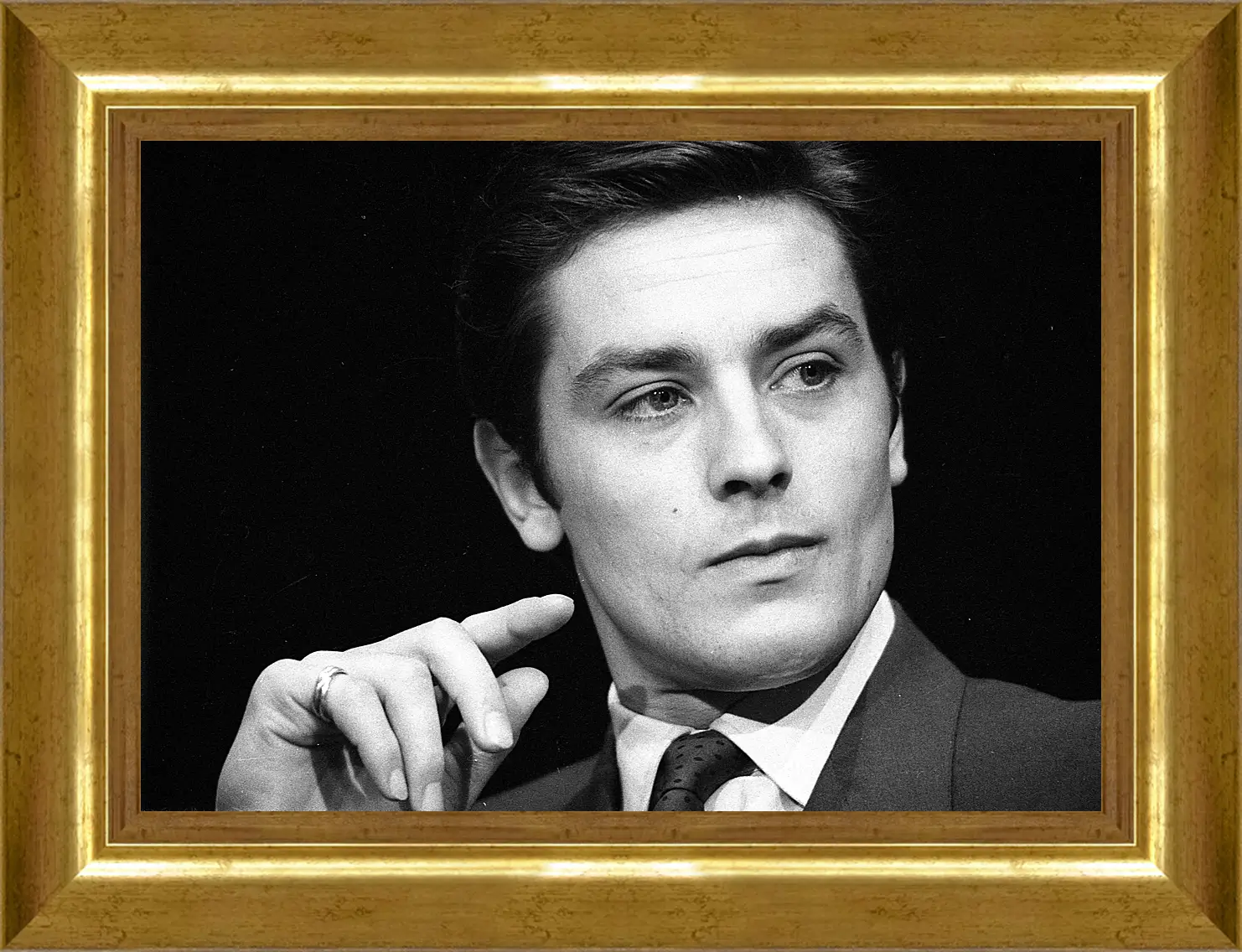 Картина в раме - Ален Делон. Alain Delon