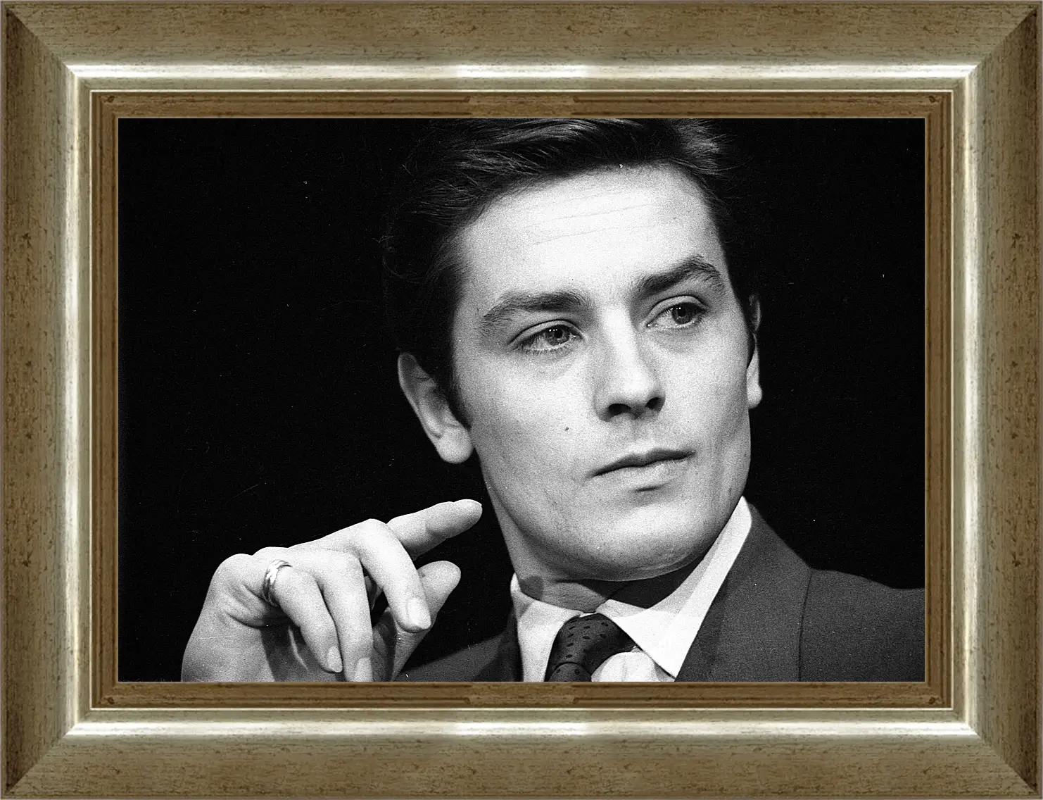 Картина в раме - Ален Делон. Alain Delon