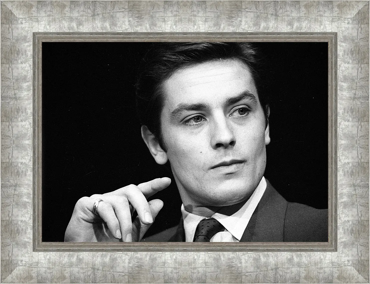 Картина в раме - Ален Делон. Alain Delon