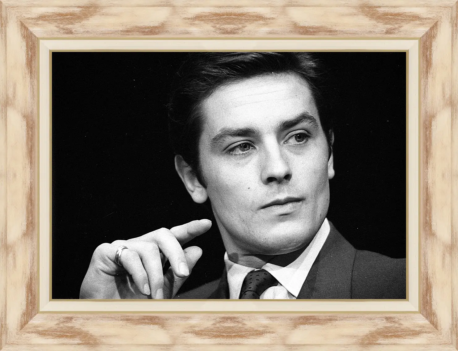 Картина в раме - Ален Делон. Alain Delon