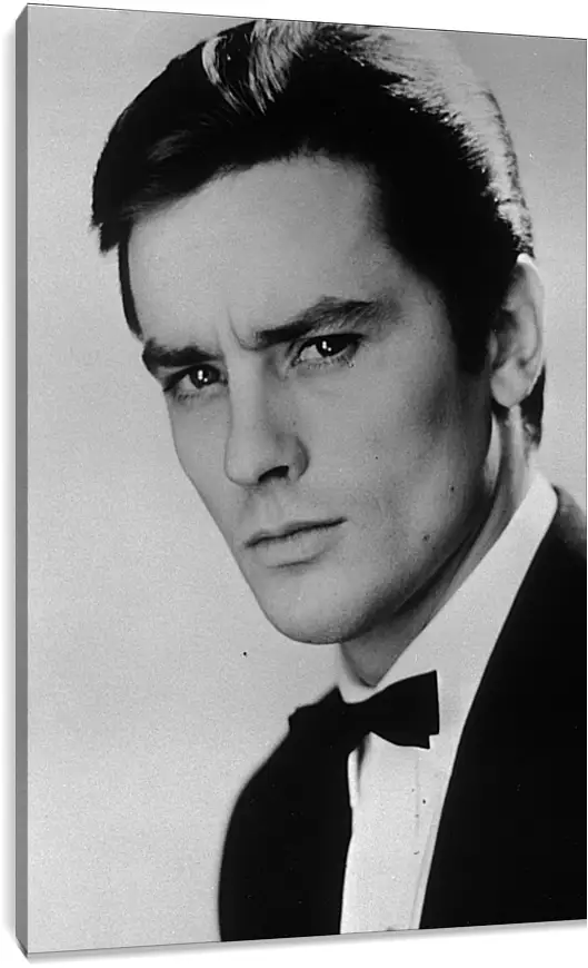 Постер и плакат - Ален Делон. Alain Delon