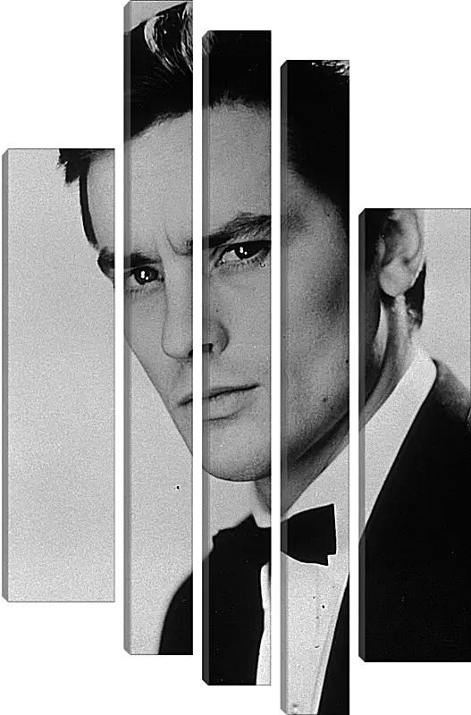 Модульная картина - Ален Делон. Alain Delon