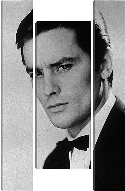 Модульная картина - Ален Делон. Alain Delon