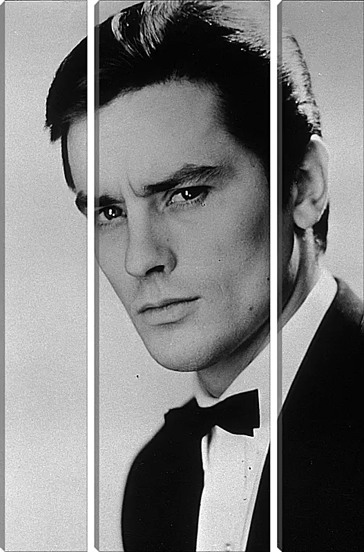 Модульная картина - Ален Делон. Alain Delon