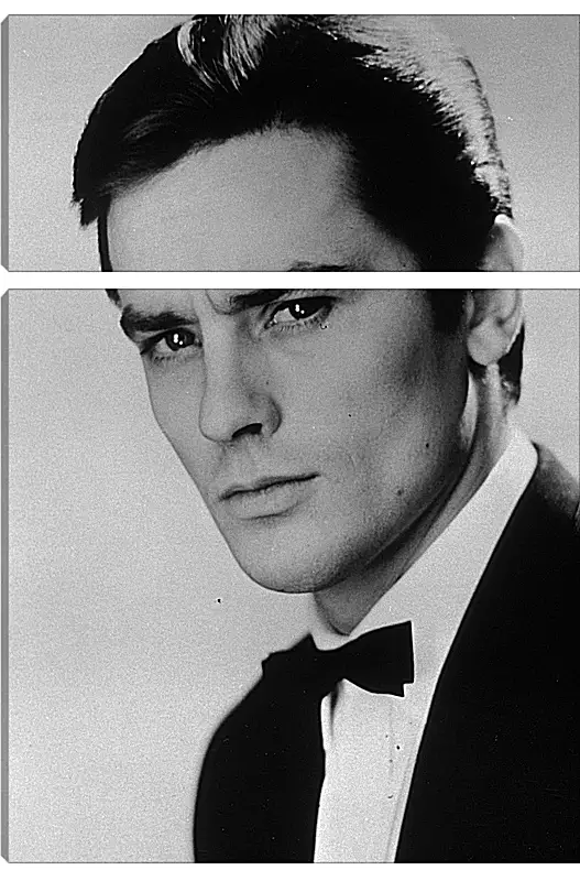 Модульная картина - Ален Делон. Alain Delon