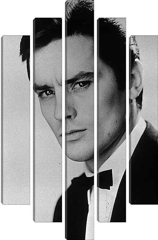 Модульная картина - Ален Делон. Alain Delon