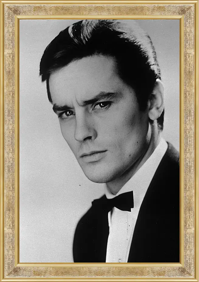 Картина в раме - Ален Делон. Alain Delon