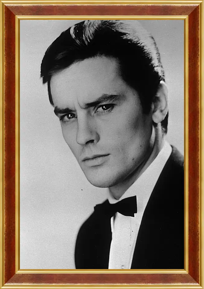 Картина в раме - Ален Делон. Alain Delon