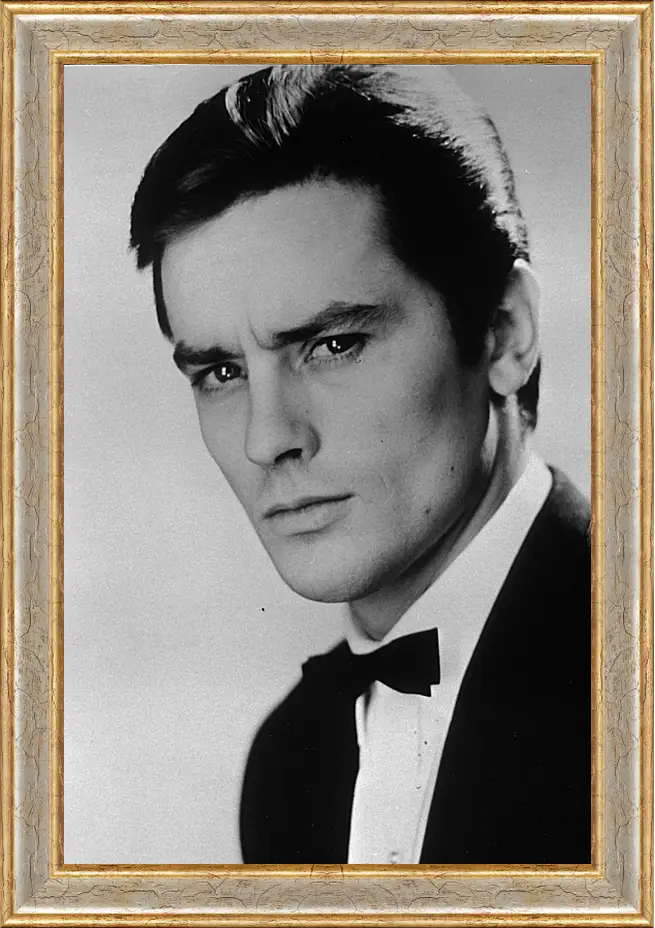 Картина в раме - Ален Делон. Alain Delon