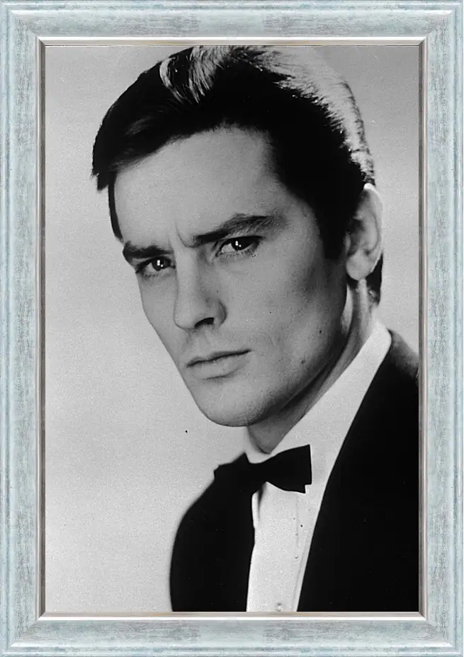 Картина в раме - Ален Делон. Alain Delon