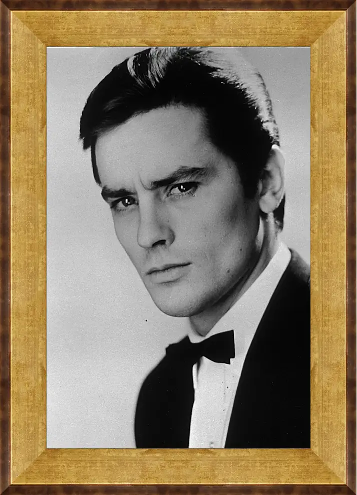 Картина в раме - Ален Делон. Alain Delon