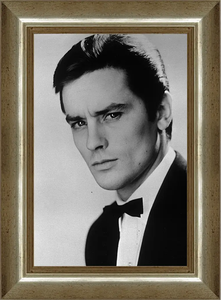 Картина в раме - Ален Делон. Alain Delon