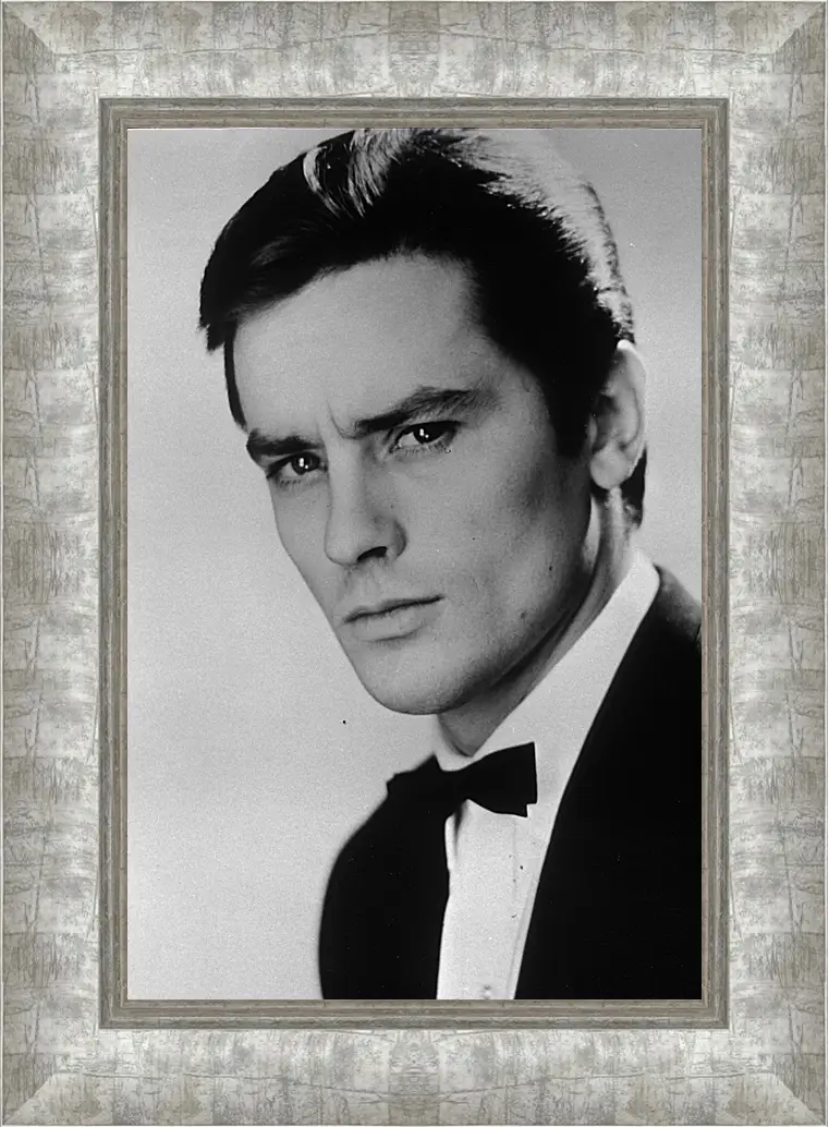 Картина в раме - Ален Делон. Alain Delon