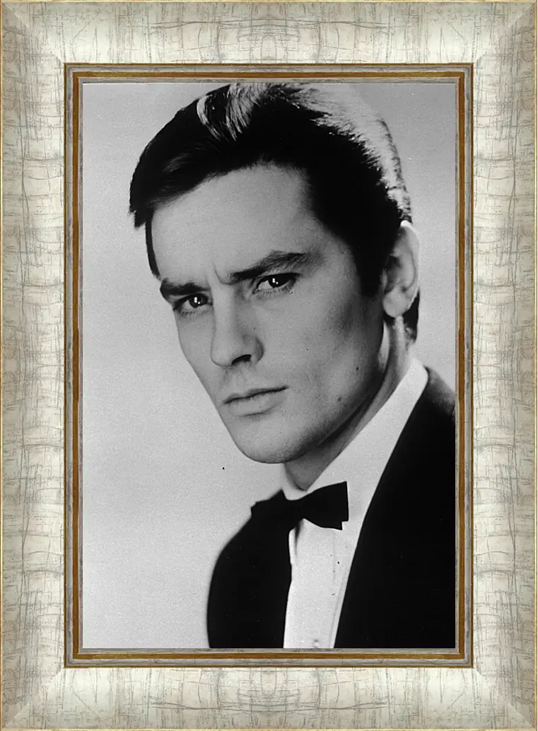 Картина в раме - Ален Делон. Alain Delon