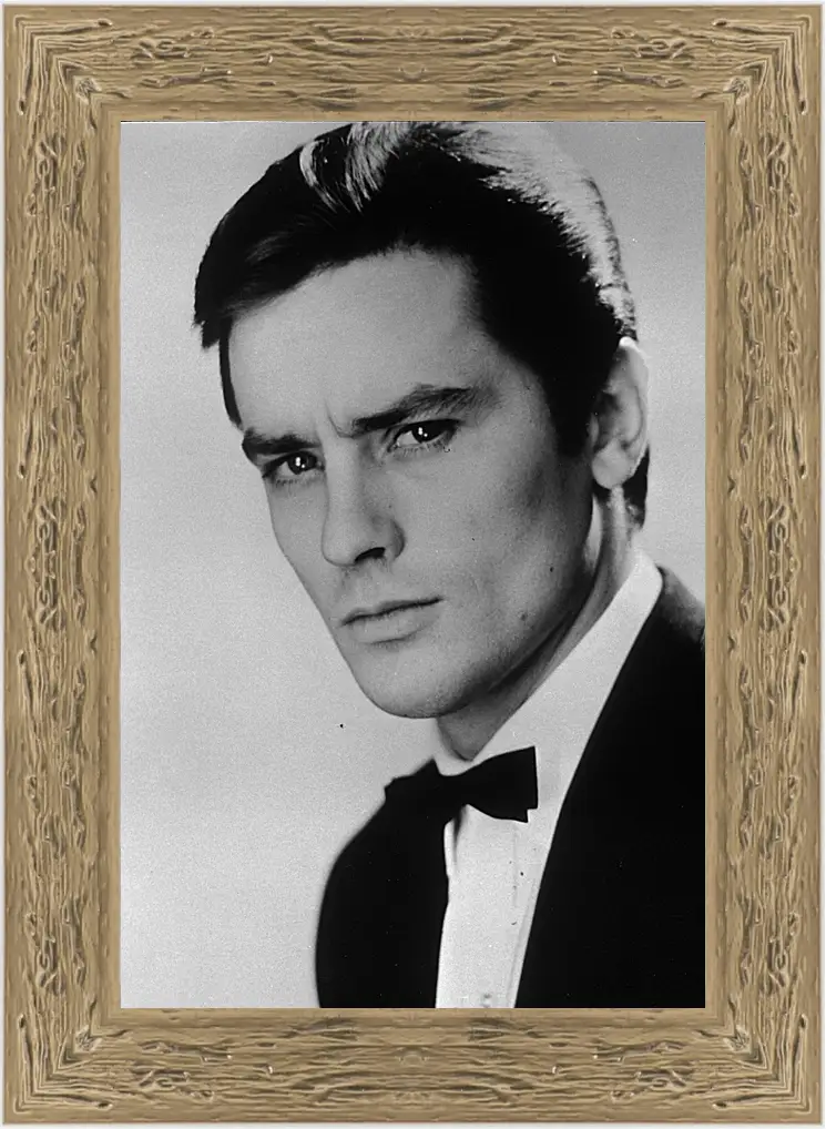 Картина в раме - Ален Делон. Alain Delon