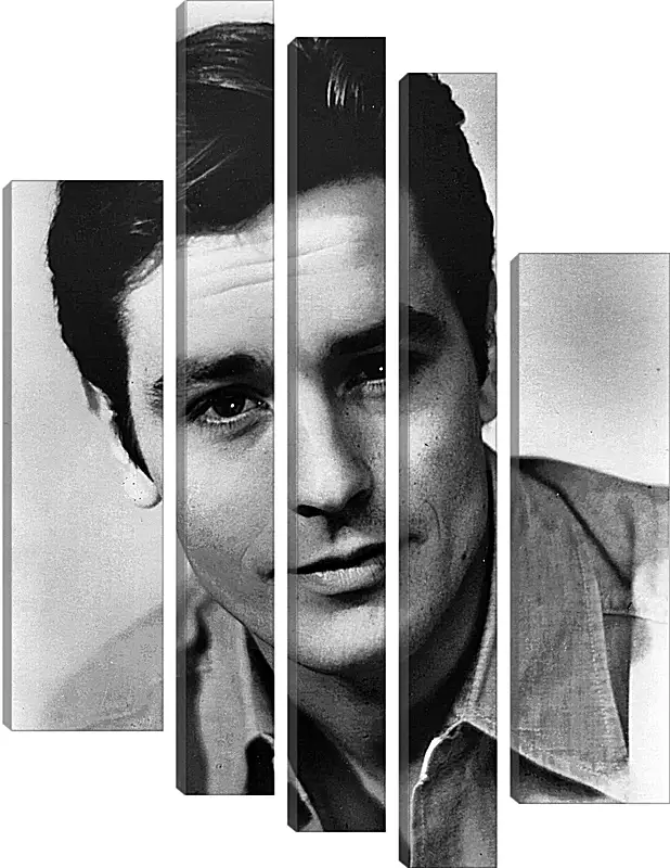 Модульная картина - Ален Делон. Alain Delon