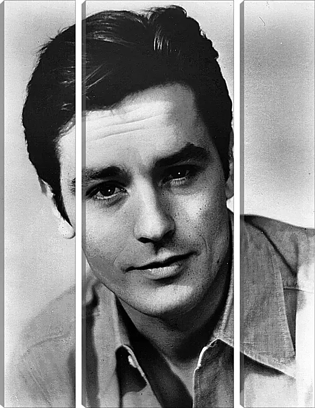 Модульная картина - Ален Делон. Alain Delon