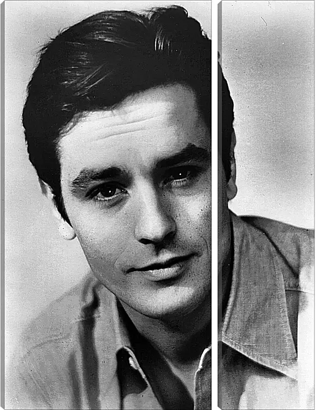 Модульная картина - Ален Делон. Alain Delon