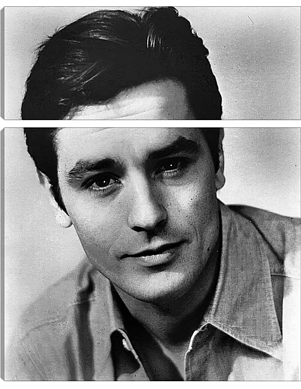 Модульная картина - Ален Делон. Alain Delon