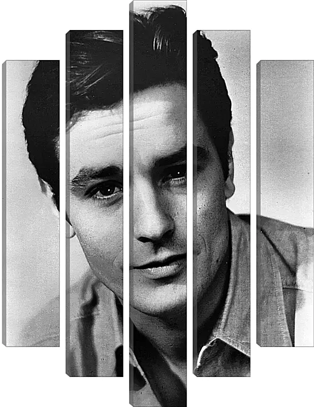 Модульная картина - Ален Делон. Alain Delon