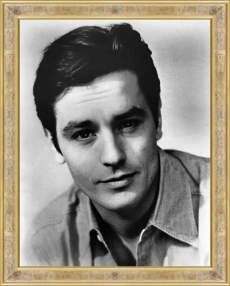 Картина в раме - Ален Делон. Alain Delon